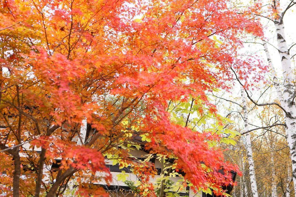 Hotel Konashi No Yu Sasaya Matsumoto Exterior foto